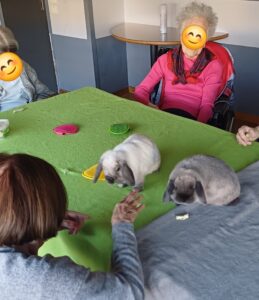 Médiation animale en maison de retraite